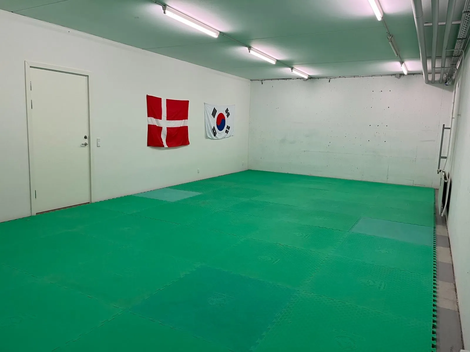 The small dojang with green mats